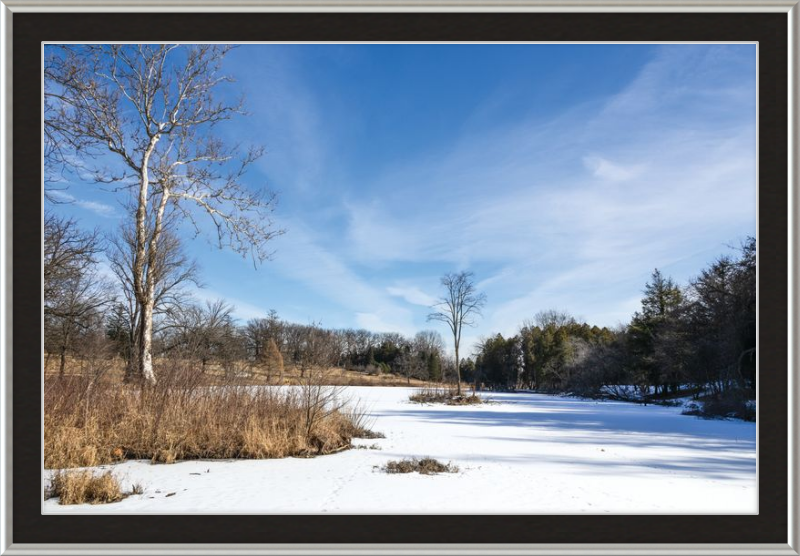 Lake Marmo at Morton Arboretum Lisle, IL