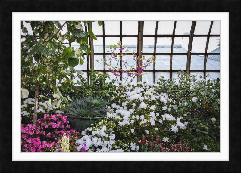 Conservatory View