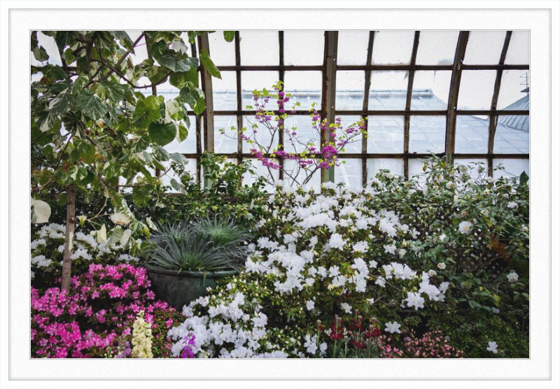 Conservatory View