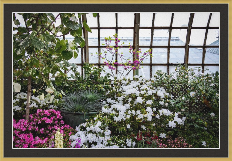 Conservatory View