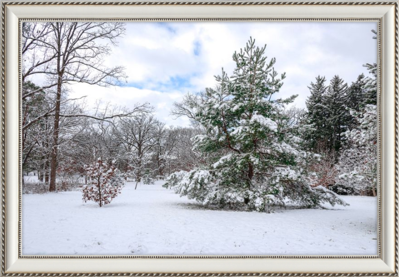 Frosty Winter Wonderland