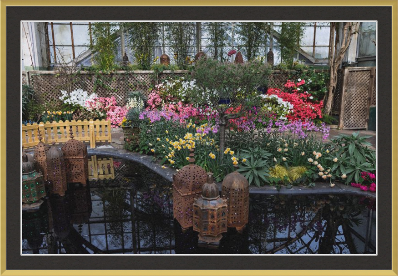 Jewels of Spring Flower Show Lincoln Park Conservatory
