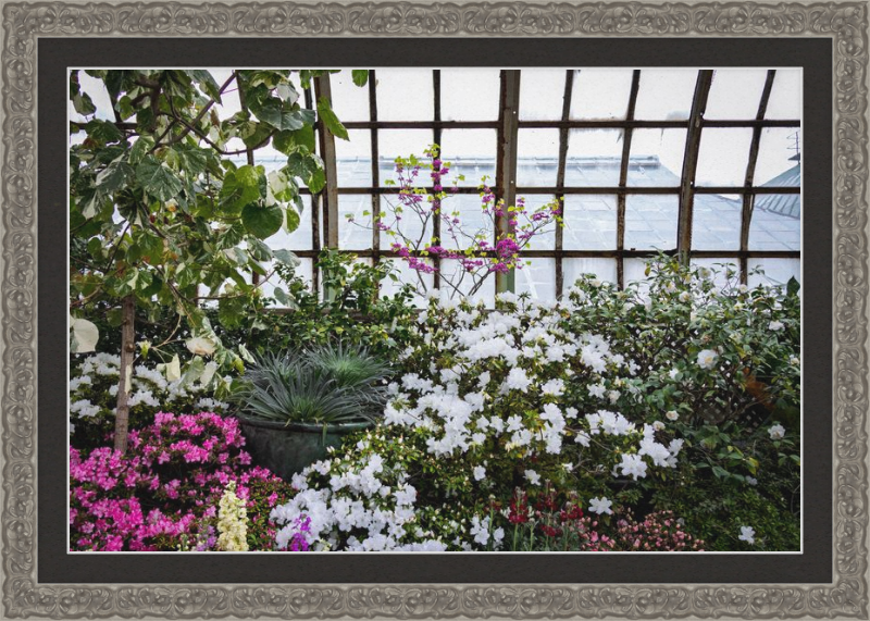 Conservatory View