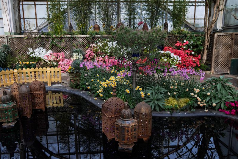Jewels of Spring Flower Show Lincoln Park Conservatory