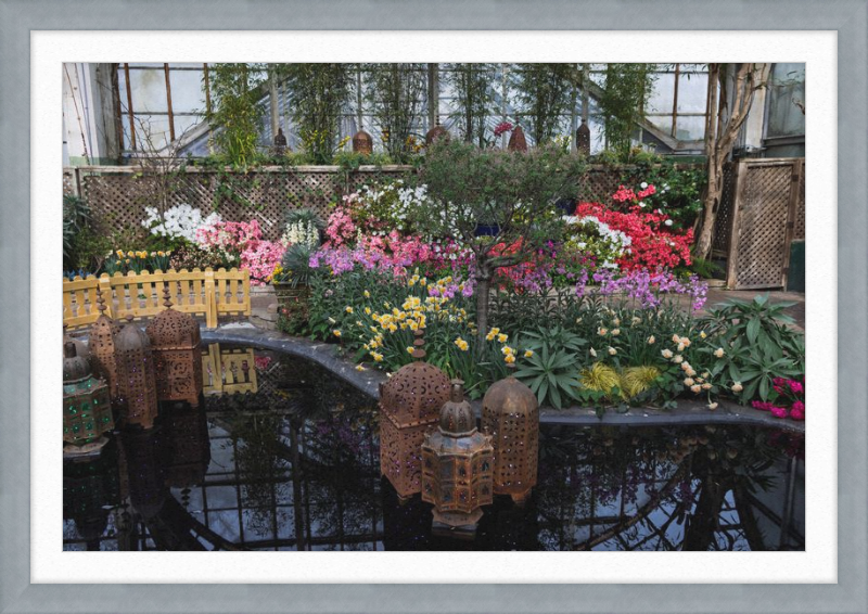 Jewels of Spring Flower Show Lincoln Park Conservatory