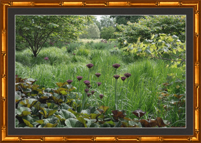 Waving Grass and Perky Flowers