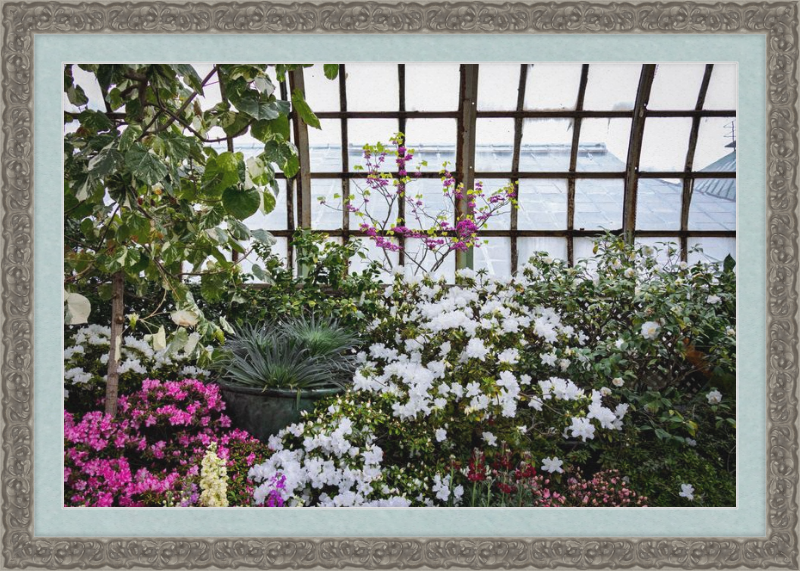Conservatory View