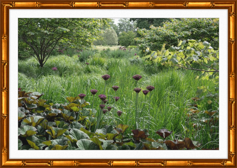 Waving Grass and Perky Flowers