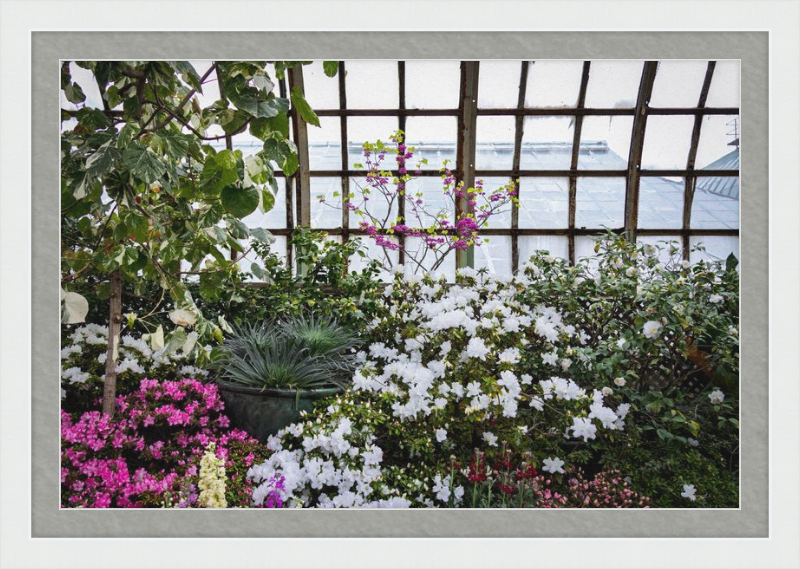 Conservatory View