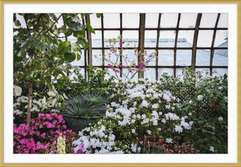 Conservatory View