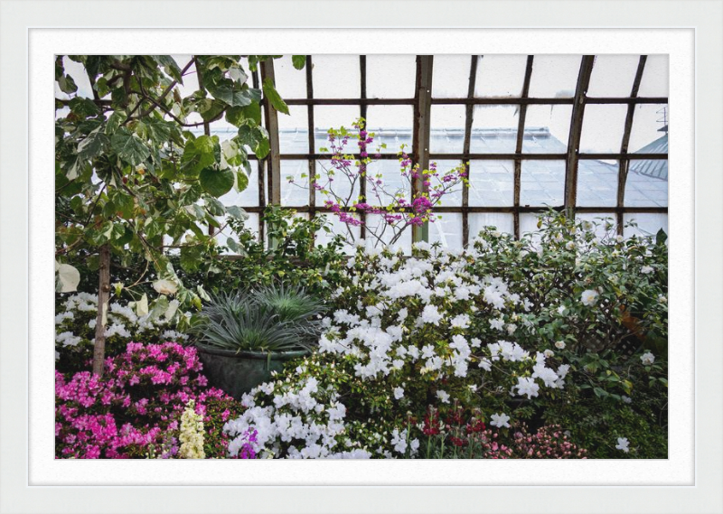 Conservatory View