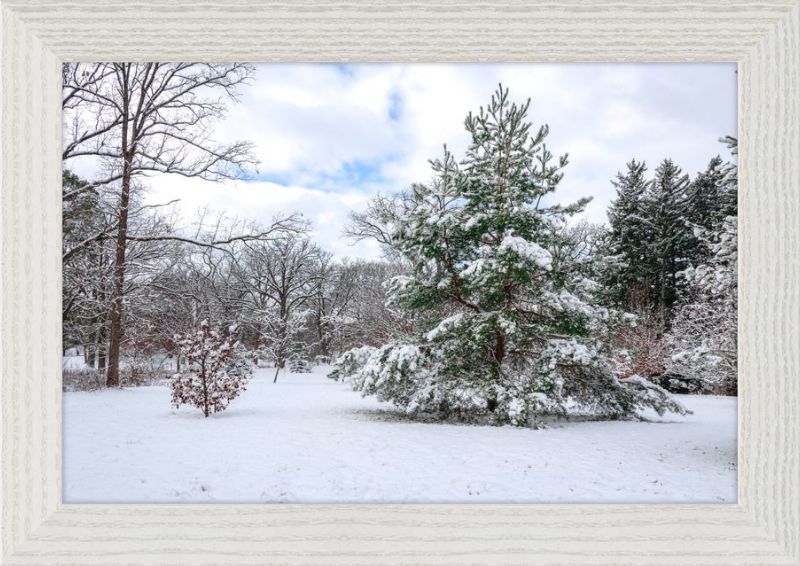 Frosty Winter Wonderland