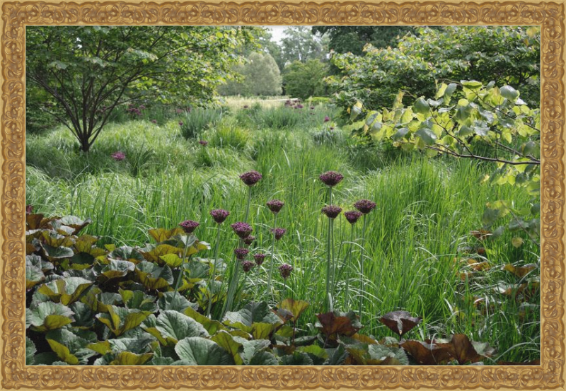 Waving Grass and Perky Flowers