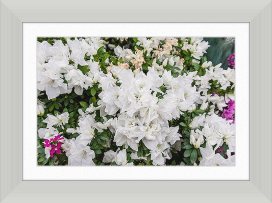 White Paper Flowers